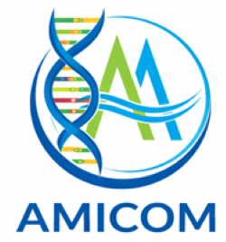 AMICOM Analytics Logo